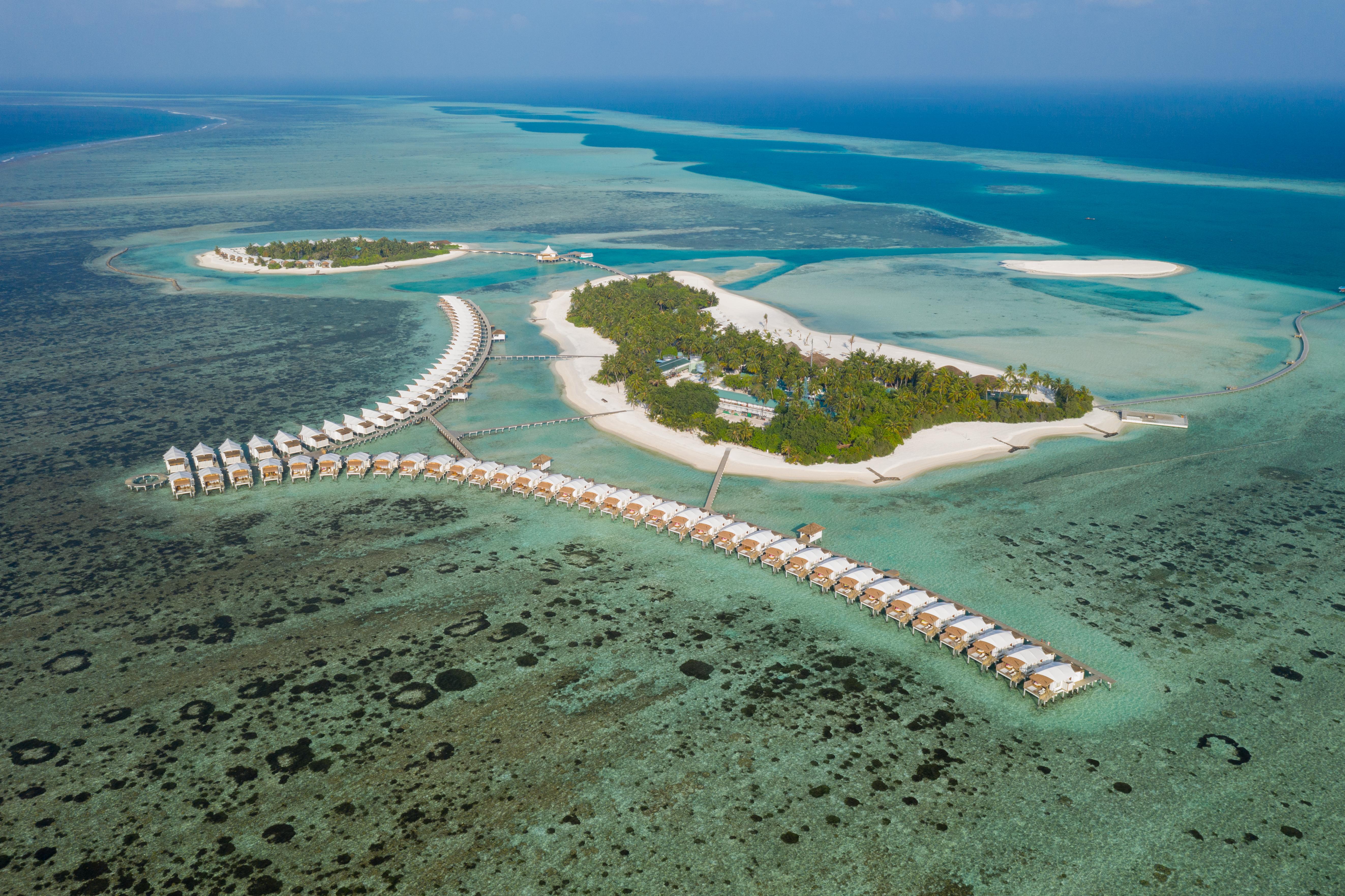 Морской риф в Cinnamon Dhonveli Maldives